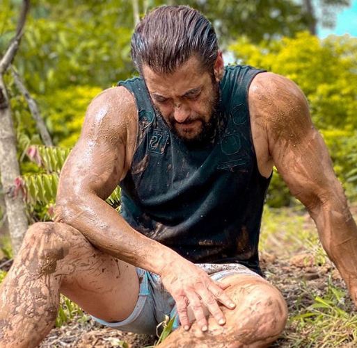 ಹುಲ್ಲು ತಿಂದು ಸುದ್ದಿಯಾಗಿದ್ದ `ಸಲ್ಲು ಈಗ ಮತ್ತೆ ಟ್ರೋಲ್’..!