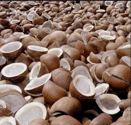 ಸಂಕಷ್ಟದಲ್ಲಿರುವ ಅನ್ನದಾತರಿಗೆ ಗುಡ್ ನ್ಯೂಸ್ ನೀಡಿದ ಸರ್ಕಾರ..!