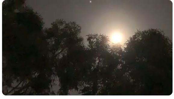 ಲಾಕ್ ಡೌನ್ ನಿಂದಾಗಿ ಜೋರಾಗಿ ಕಿರುಚಲು ಶುರುಮಾಡಿದ್ದಾರೆ ಇವರು..!