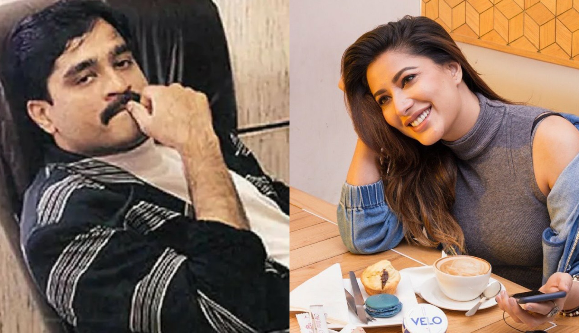 ಯಾರೀಕೆ ಮೋಸ್ಟ್ ವಾಂಟೆಡ್ ಭಯೋತ್ಪಾದಕ ದಾವೂದ್ ಇಬ್ರಾಹಿಂನ ಪ್ರೇಯಸಿ ಮೆಹ್ವಿಶ್ ಹಯಾತ್?