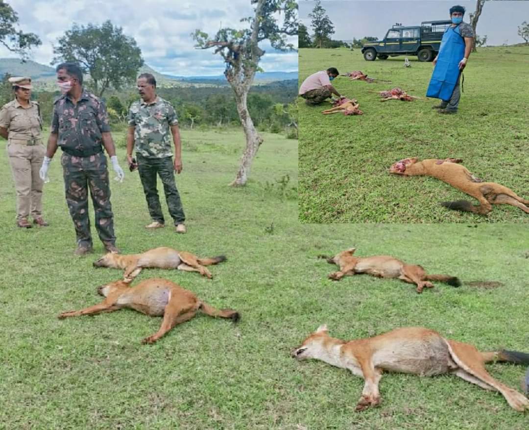 ಪ್ರಣಬ್ ಮುಖರ್ಜಿ- ಗುಮಾಸ್ತನಿಂದ ದೇಶದ ಮೊದಲ ಪ್ರಜೆಯ ವರೆಗಿನ ಸಾರ್ಥಕ ಜೀವನ