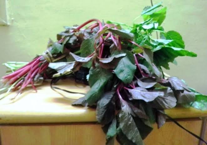 ಹರಿವೆ ಸೊಪ್ಪಿನಿಂದ ಆರೋಗ್ಯಕ್ಕೆ ಅದೆಷ್ಟು ಪ್ರಯೋಜನವಿದೆ ಗೊತ್ತಾ ?