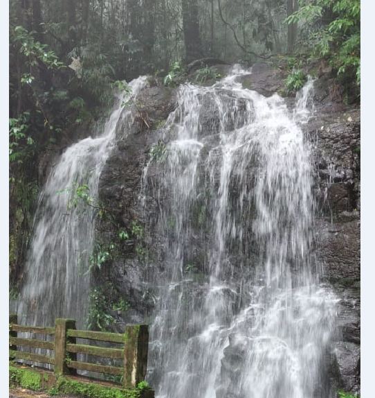 ಕೊಡಗಿನ ಕರಿಕೆ ಕಣಿವೇಲಿ ಜಲ”ಕನ್ಯೆ”ಯರ ವೈಯಾರ..!