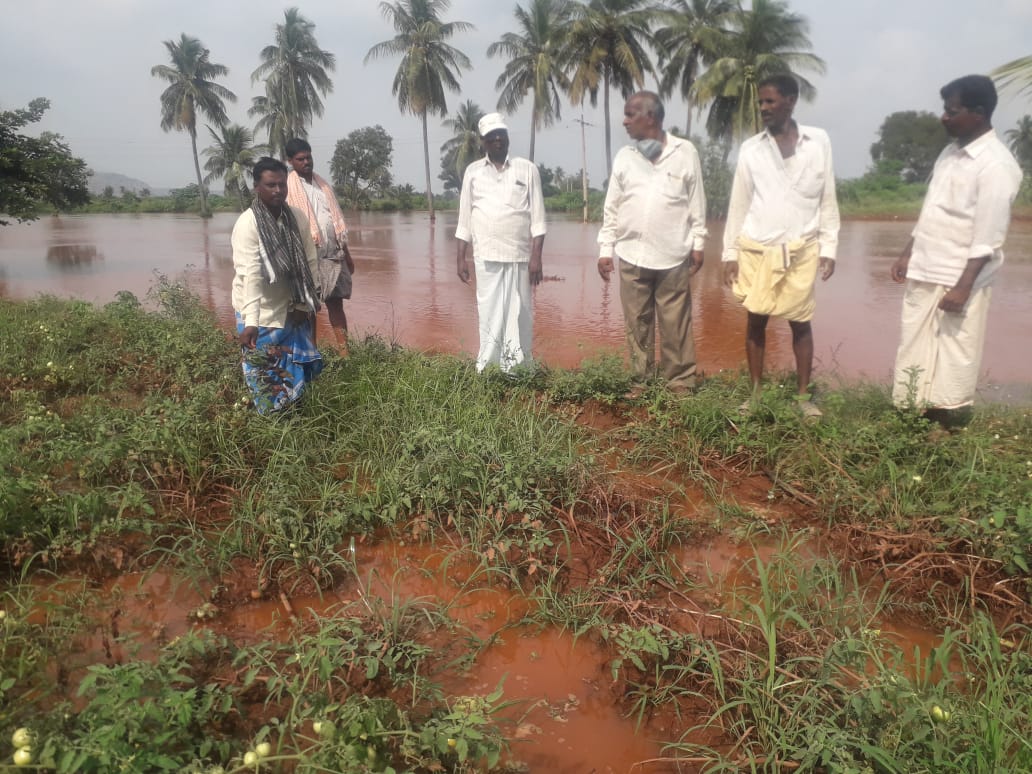 ಗಣಿನಾಡಿನಲ್ಲಿ ವರುಣಾರರ್ಭಟ: ಭಾರೀ ಮಳೆಗೆ ರೈತರ ಬೆಳೆ ನಾಶ  