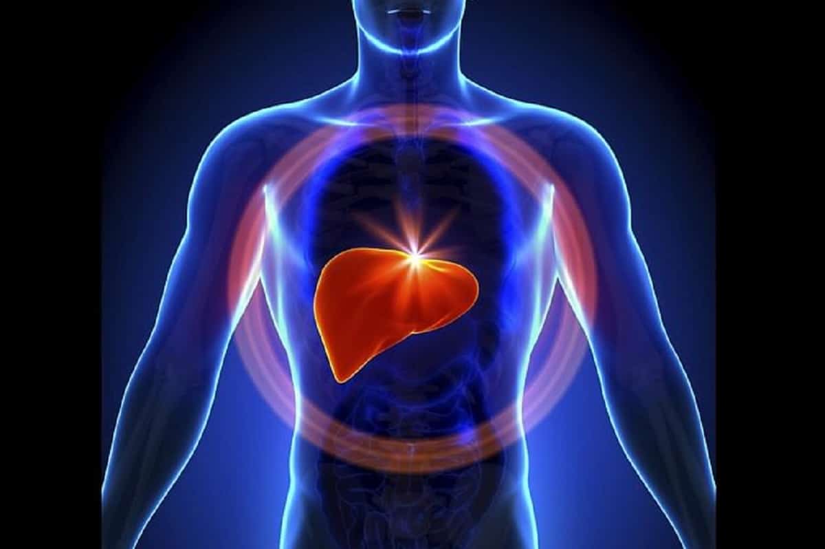 Saakshatv healthtips liver