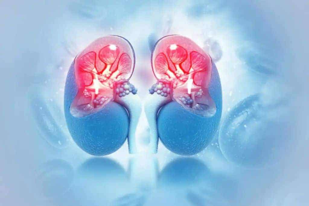 Harm kidneys