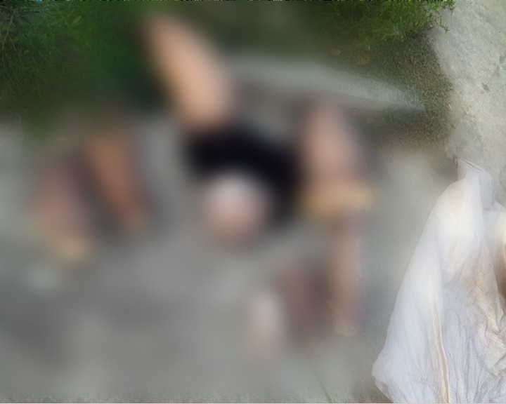 ದೇಹ ತುಂಡು ತುಂಡಾಗಿ ಕತ್ತರಿಸಿ ಅಪರಿಚಿತ ಮಹಿಳೆಯ ಬರ್ಬರ ಹತ್ಯೆ..!