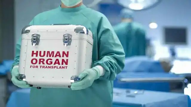 Alleged organ racket