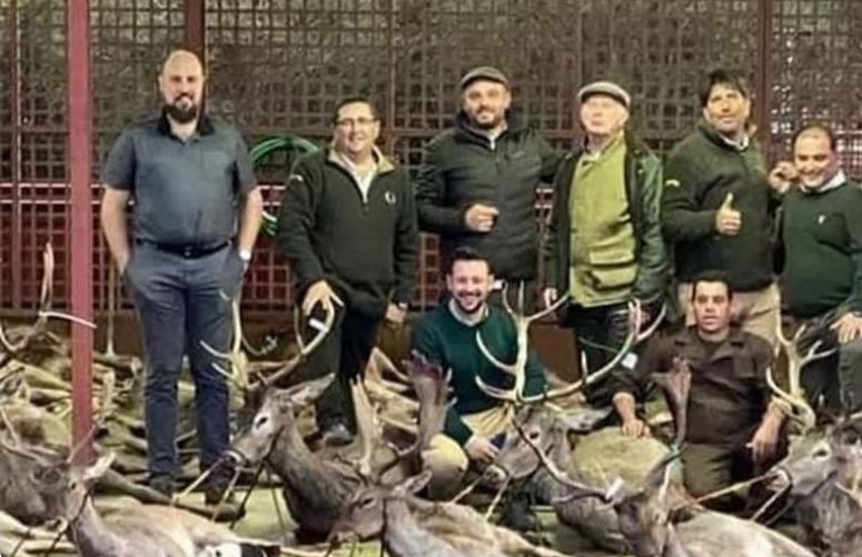 500ಕ್ಕೂ ಹೆಚ್ಚು ಜಿಂಕೆಗಳ ಮಾರಣಹೋಮ : ಬೇಟೆಗಾರರ ವಿರುದ್ಧ ಭುಗಿಲೆದ್ದ ಆಕ್ರೋಶ