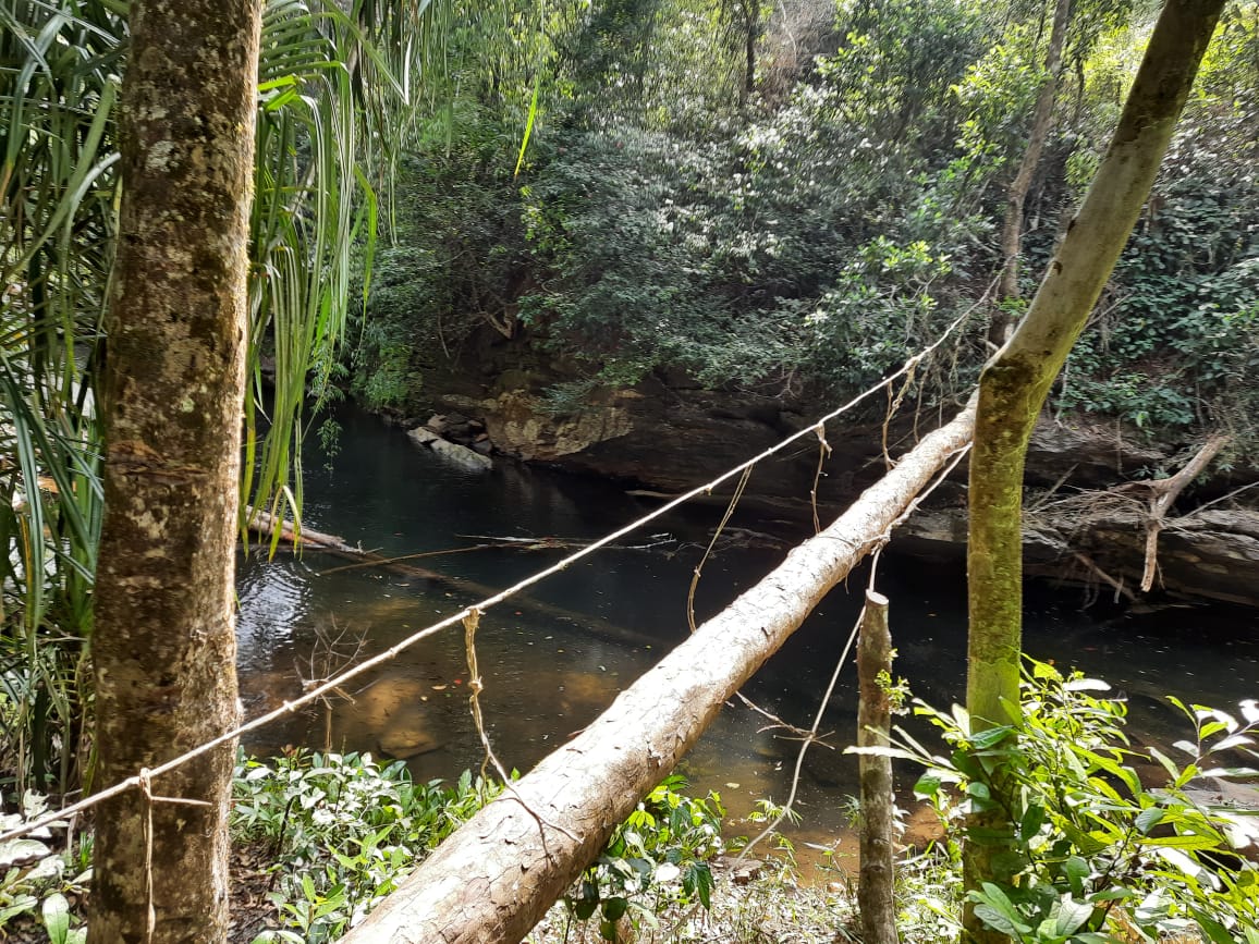 citizen journalism episode 1