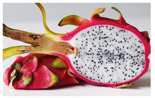 ಡ್ರ್ಯಾಗನ್ ಹಣ್ಣಿಗೆ ಮರುನಾಮಕರಣ : ಗುಜರಾತ್ ಸರ್ಕಾರ ಇಟ್ಟ  ಹೆಸರೇನು ಗೊತ್ತೇ..!