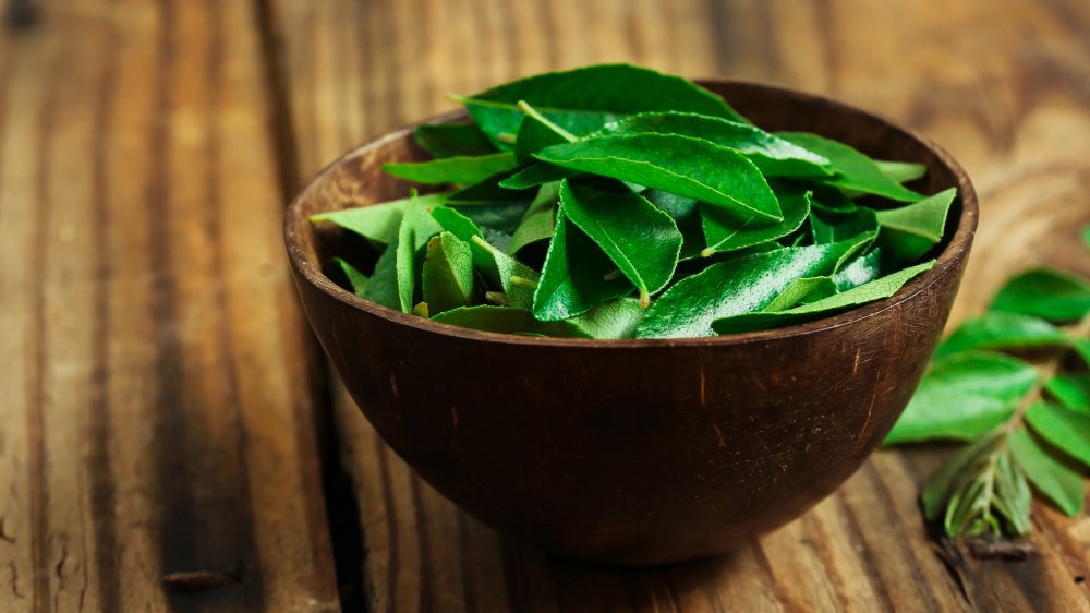 Saakshatv healthtips curry leaves