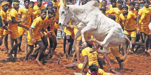 ಮಕರ ಸಂಕ್ರಾಂತಿ ಹಬ್ಬದ ಪೌರಾಣಿಕ ಹಿನ್ನೆಲೆ, ಎಲ್ಲೆಲ್ಲಿ ಹೇಗೆ ಆಚರಣೆ ಮಾಡಲಾಗುತ್ತೆ ನಿಮಗೆ ಗೊತ್ತಿದ್ಯಾ…!