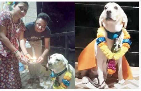 ಸಾಕು ನಾಯಿಗೆ ಸೀಮಂತ ಮಾಡಿದ ಕುಟುಂಬ : ಫೋಟೋ ವೈರಲ್..!