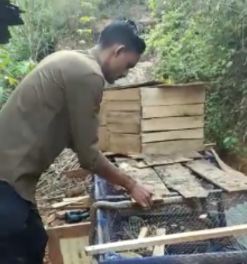 ಹಾವು ಕಚ್ಚಿ ಉಪ್ಪಿನಂಗಡಿಯ ಸ್ನೇಕ್ ಮುಸ್ತ ಸಾವು