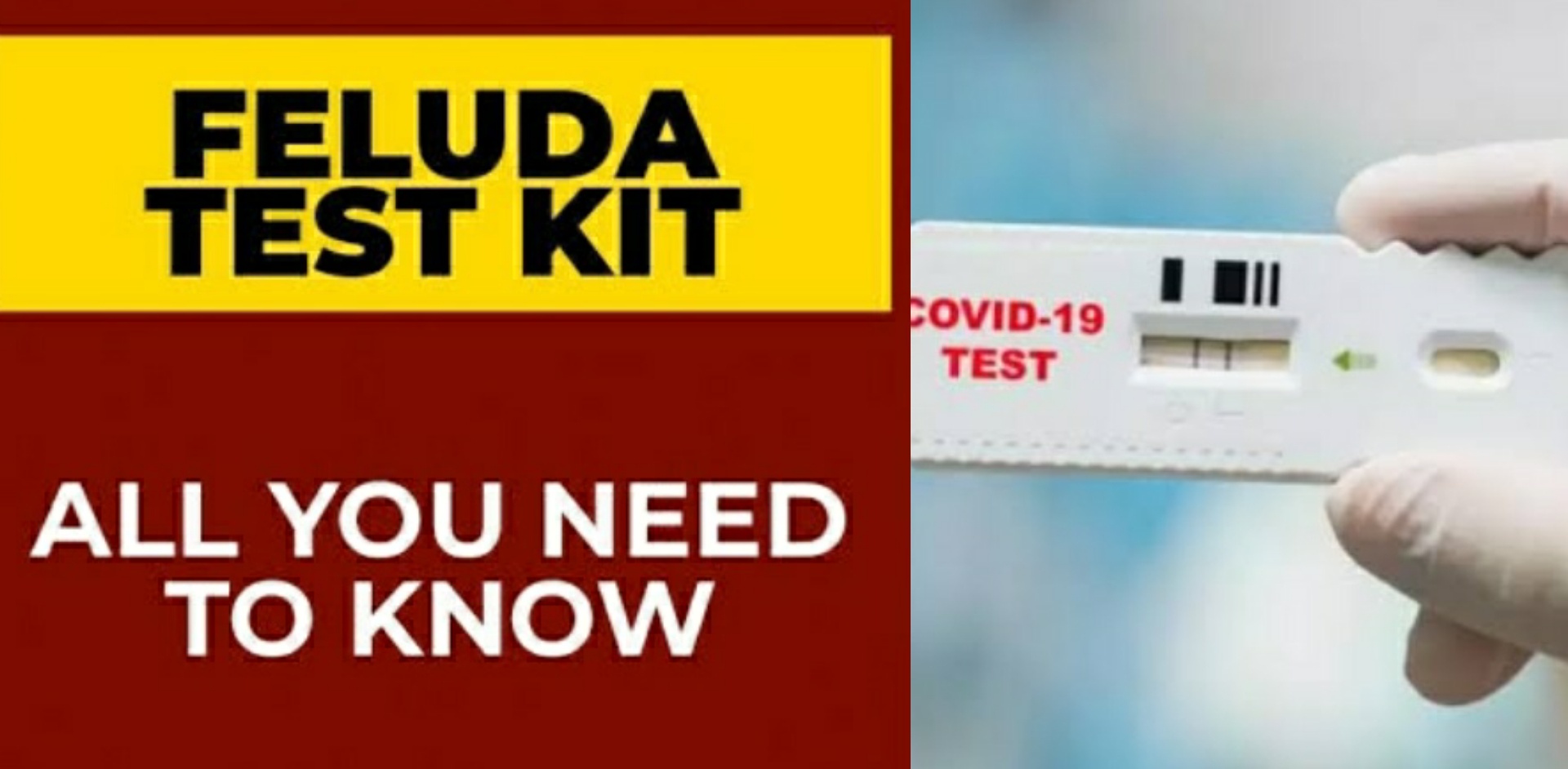 Feluda test corona reports