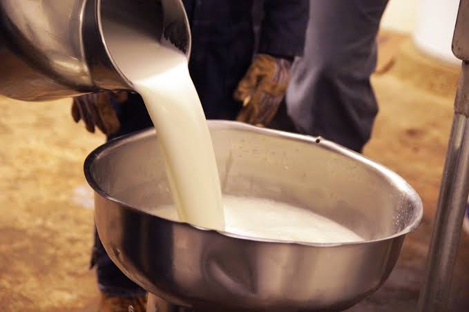 Saakshatv health tips disadvantages of drinking raw milk