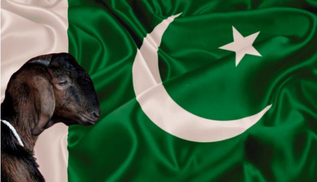 ಕೊರೊನಾ ಹೋರಾಟದಲ್ಲಿ ಮಾದರಿಯಾಗಿದ್ದ ಕೇರಳ ಇಂದು ಕೋವಿಡ್ ನಂ. 1 ಹಾಟ್ ಸ್ಪಾಟ್..!  