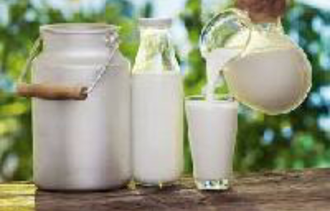 Donkey milk