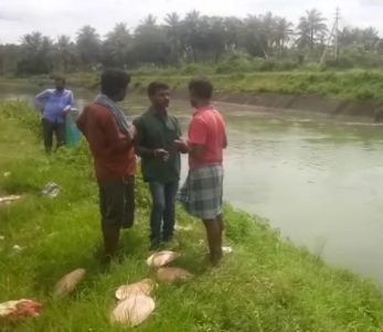 chikkamagalure saaksha tv