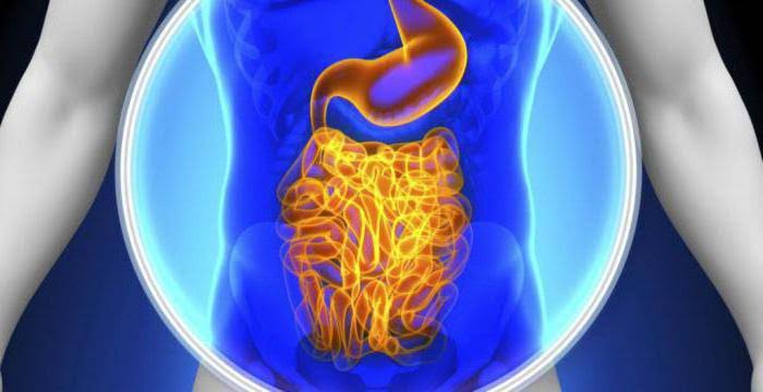 Saakshatv health tips Do you know how TB can occur in Intestines