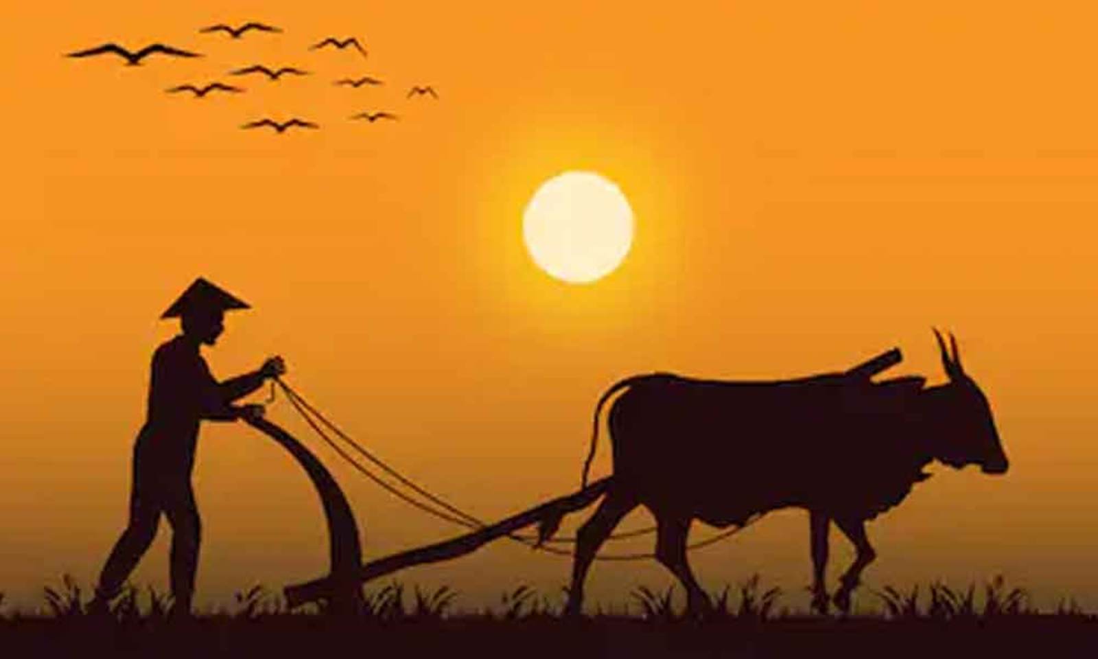 ರಾಜ್ಯ ಸರ್ಕಾರದ ಐತಿಹಾಸಿಕ ನಿರ್ಧಾರ, ಬೆಳೆ ಪರಿಹಾರ ಡಬಲ್