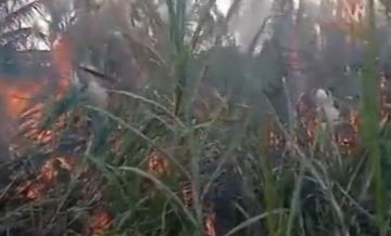 electric wire saaksha tv