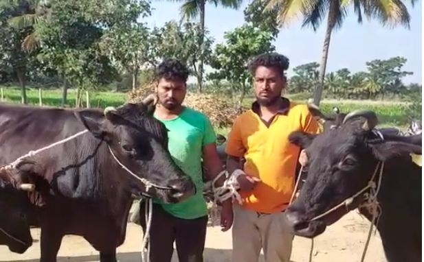 chamarajanagara saaksha tv