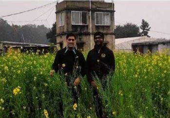 MS Dhoni flourishes mustard crop saaksha tv