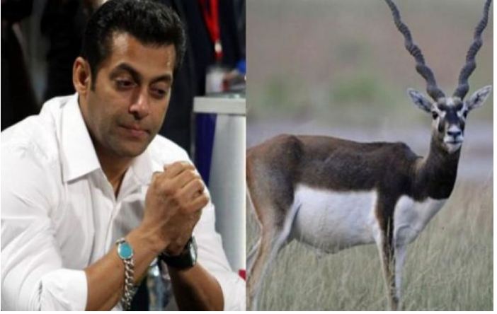 ಸಲ್ಮಾನ್ ಖಾನ್ ಕೊಂದು ಹಾಕಿದ್ದ ಕೃಷ್ಣಮೃಗದ ಸ್ಮಾರಕ ನಿರ್ಮಾಣ..!!