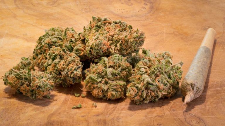 Bengaluru : ಎನ್ ಸಿ ಬಿ ಅಧಿಕಾರಿಗಳ ಕಾರ್ಯಚರಣೆ : 1 ಕೆ.ಜಿ. 420 ಗ್ರಾಂ ಮಾದಕ ವಸ್ತು ಮರಿಜುವಾನ ವಶ