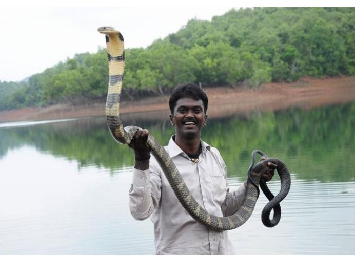 Vava Suresh: ಉರಗ ತಜ್ಞ ವಾವಾ ಸುರೇಶ್ ಗೆ ಕಚ್ಚಿದ ನಾಗರ ಹಾವು…