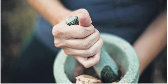 ಹೊಡೋಪತಿ ಚಿಕಿತ್ಸೆ :  ಔಷಧಿ ಸಸ್ಯಗಳ ಉತ್ತೇಜನಕ್ಕೆ ನಿಂತ ಜಾರ್ಖಂಡ್‌ ಸರ್ಕಾರ…