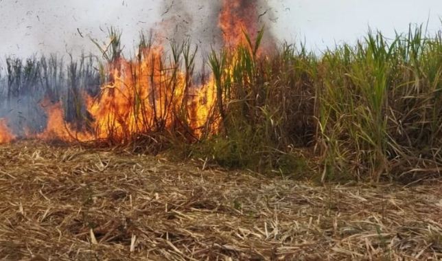 Kalaburgi Saaksha Tv