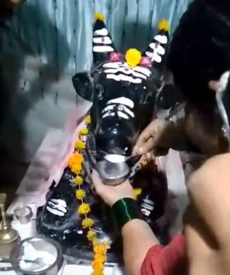 Nandi Statue Drinks Milk In Bagalkot saaksha tv