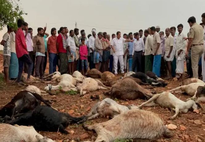 Davangere Saaksha Tv