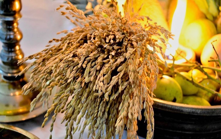 ಕೇರಳದಾದ್ಯಂತ  ಇಂದು ಸಂಭ್ರಮದ ವಿಷು ಹಬ್ಬ ಆಚರಣೆ….  