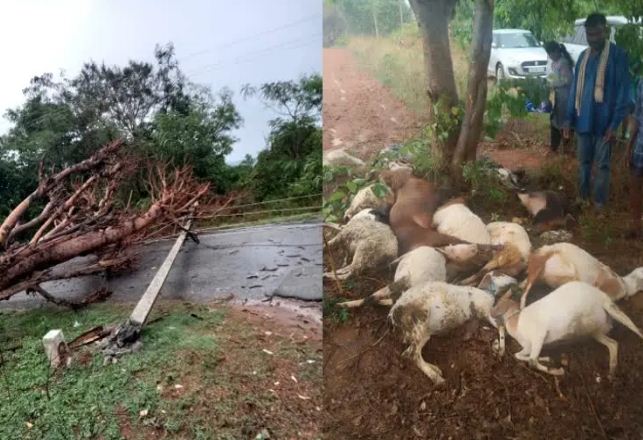 Ramangara Saaksha Tv