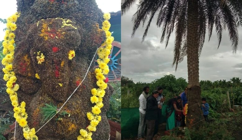 ಈಚಲು ಮರದಲ್ಲಿ ಗಣಪನ ರೂಪ –  ನೋಡಲು ಬರುತ್ತಿದ್ದಾರೆ ಭಕ್ತರು….