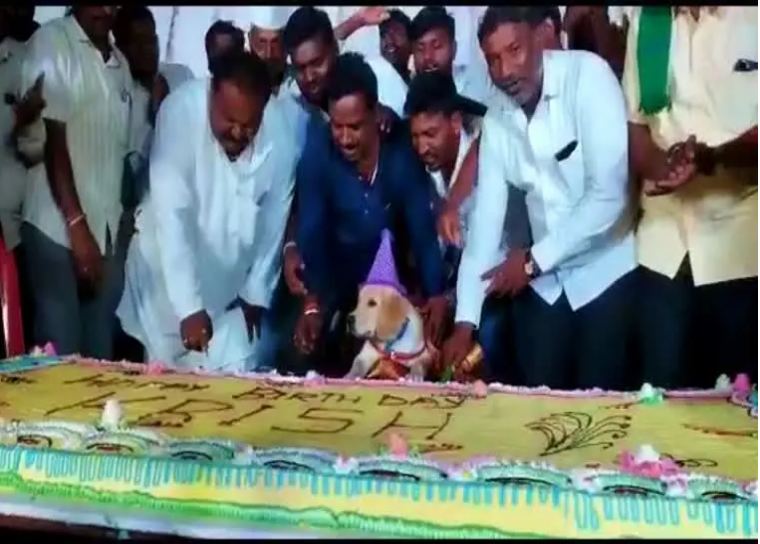 ಸಾಕು ನಾಯಿ ಹುಟ್ಟು ಹಬ್ಬಕ್ಕೆ 5 ಸಾವಿರ ಮಂದಿಗೆ ಬಾಡೂಟ…