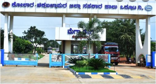 Chikkaballapura-district-co-operative-milk-producers-union-limited-kochimul saaksha tv