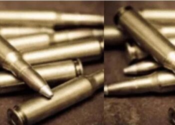 Police seized Arms in delhi