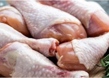 ganesha-festival-BBMP Announces ban of meat slaughter in Bangalore on august 31 saaksha tv