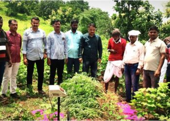 Bidar A farmer who grew cannabis police saaksha tv