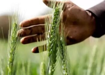 raitha-shakti-yojana-karnataka b c patil saaksha tv