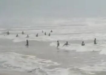 gobra-fishes-are-coming-to-the-beach Uttara Kannada saaksha tv