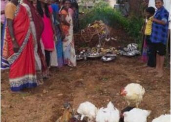 special celebration after nagarapanchami ritual chicken blood sacrifice saaksha tv