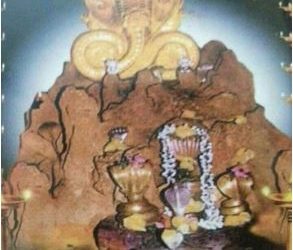 ನಾಳೆ ಸರ್ಪ ಶಾಪಗಳ ಪ್ರಾಯಶ್ಚಿತ್ತ ಪರಿಹಾರಾರ್ಥವಾಗಿ, ಸಕಲೈಶ್ವರ್ಯ ಸಿದ್ಧಿಗಾಗಿ ನಾಗರ ಪಂಚಮಿ ಈ ವಿಧಾನ ಮಾಡಿ