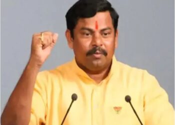 Raja Singh