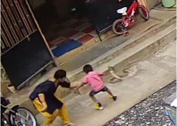 Mandya - A mother who saved her son from a snake saaksha tv